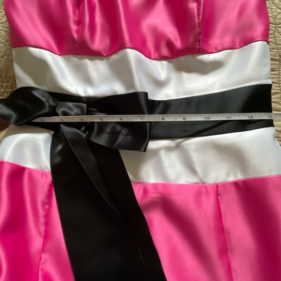 ⭐️HP⭐️ Gorgeous Floor Length Pink, Black, and White Jessica McClinktock Dress - Picture 12 of 13